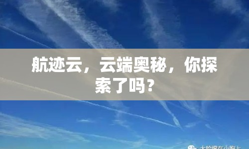 航跡云，云端奧秘，你探索了嗎？
