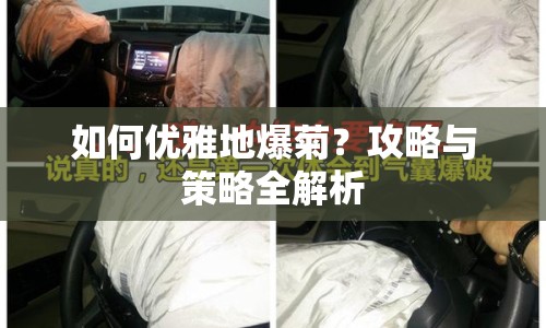 如何優(yōu)雅地爆菊？攻略與策略全解析
