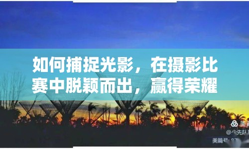 如何捕捉光影，在攝影比賽中脫穎而出，贏得榮耀？