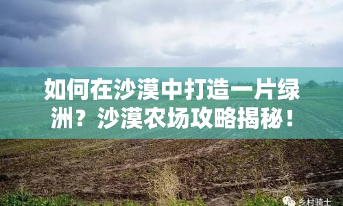 如何在沙漠中打造一片綠洲？沙漠農(nóng)場攻略揭秘！