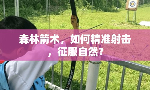 森林箭術(shù)，如何精準(zhǔn)射擊，征服自然？
