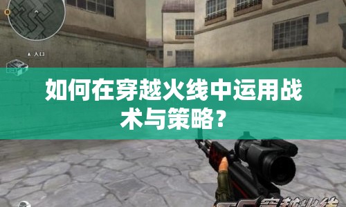如何在穿越火線中運用戰(zhàn)術(shù)與策略？
