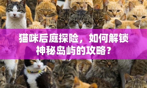 貓咪后庭探險，如何解鎖神秘島嶼的攻略？