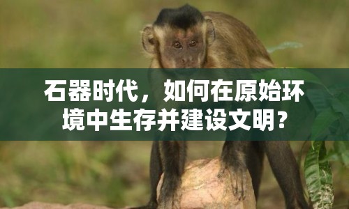 石器時代，如何在原始環(huán)境中生存并建設(shè)文明？