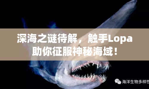 深海之謎待解，觸手Lopa助你征服神秘海域！