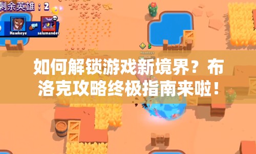 如何解鎖游戲新境界？布洛克攻略終極指南來啦！