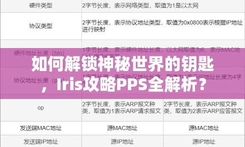 如何解鎖神秘世界的鑰匙，Iris攻略PPS全解析？