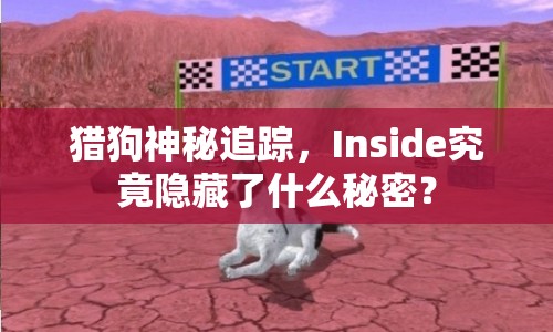 獵狗神秘追蹤，Inside究竟隱藏了什么秘密？
