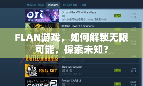 FLAN游戲，如何解鎖無(wú)限可能，探索未知？
