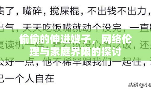 偷偷的伸進嫂子，網(wǎng)絡倫理與家庭界限的探討