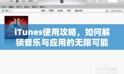iTunes使用攻略，如何解鎖音樂(lè)與應(yīng)用的無(wú)限可能？