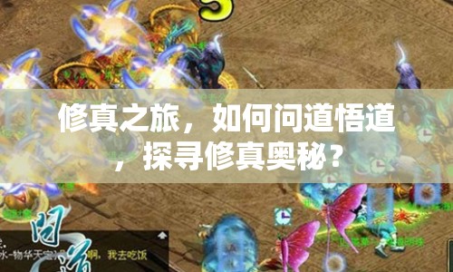 修真之旅，如何問道悟道，探尋修真奧秘？