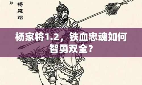 楊家將1.2，鐵血忠魂如何智勇雙全？