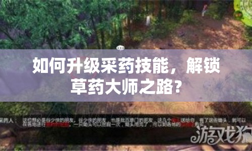 如何升級采藥技能，解鎖草藥大師之路？