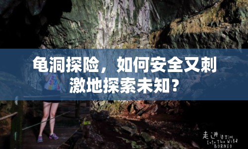 龜洞探險，如何安全又刺激地探索未知？