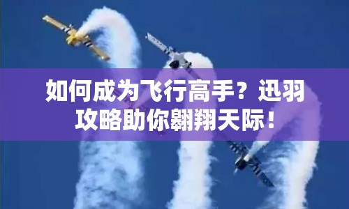 如何成為飛行高手？迅羽攻略助你翱翔天際！
