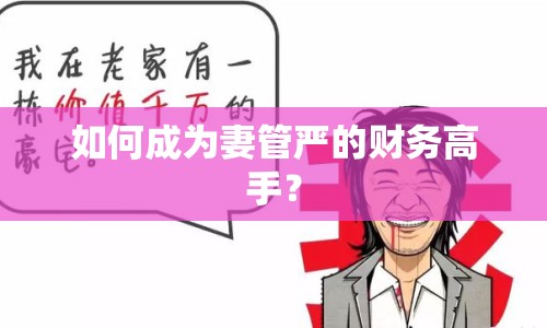 如何成為妻管嚴(yán)的財務(wù)高手？