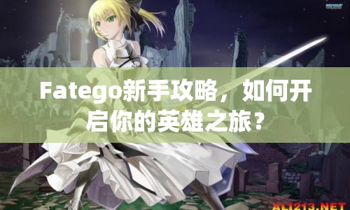 Fatego新手攻略，如何開啟你的英雄之旅？
