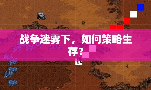 戰(zhàn)爭迷霧下，如何策略生存？