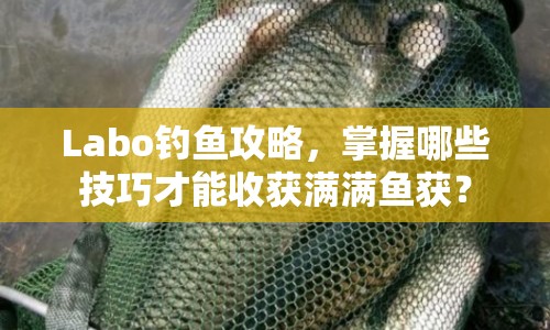 Labo釣魚攻略，掌握哪些技巧才能收獲滿滿魚獲？