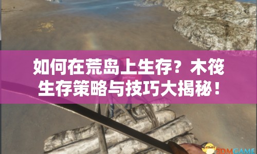 如何在荒島上生存？木筏生存策略與技巧大揭秘！