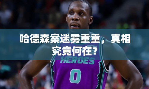哈德森案迷霧重重，真相究竟何在？
