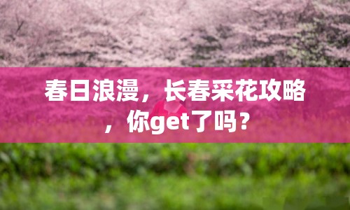 春日浪漫，長春采花攻略，你get了嗎？