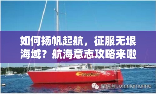 如何揚(yáng)帆起航，征服無垠海域？航海意志攻略來啦！
