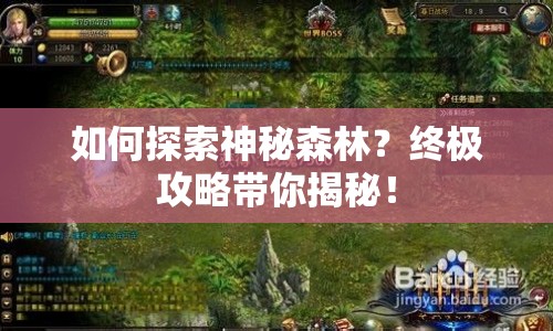 如何探索神秘森林？終極攻略帶你揭秘！
