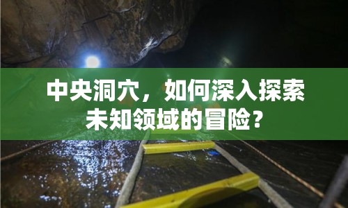 中央洞穴，如何深入探索未知領(lǐng)域的冒險？