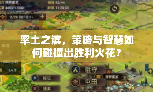 率土之濱，策略與智慧如何碰撞出勝利火花？