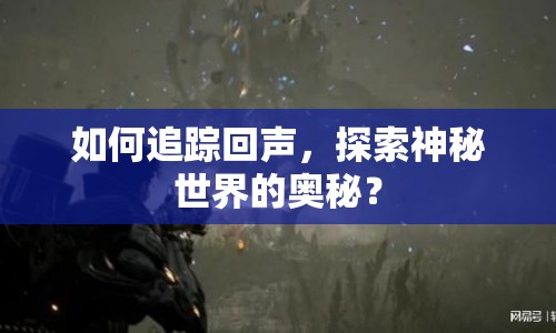 如何追蹤回聲，探索神秘世界的奧秘？