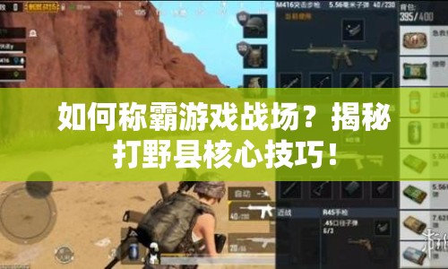 如何稱(chēng)霸游戲戰(zhàn)場(chǎng)？揭秘打野縣核心技巧！