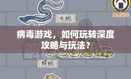 病毒游戲，如何玩轉(zhuǎn)深度攻略與玩法？