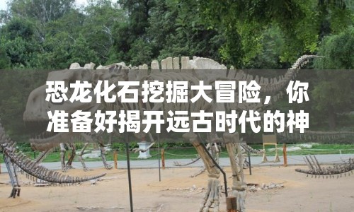 恐龍化石挖掘大冒險，你準(zhǔn)備好揭開遠(yuǎn)古時代的神秘面紗了嗎？