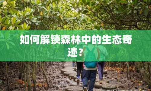 如何解鎖森林中的生態(tài)奇跡？