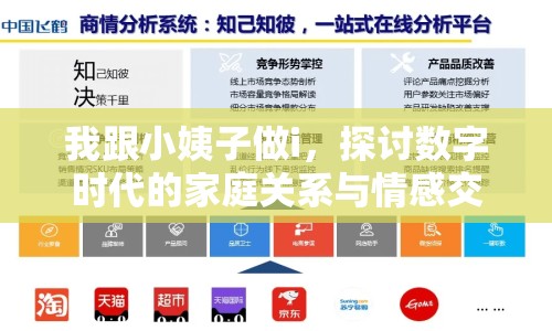 我跟小姨子做i，探討數(shù)字時(shí)代的家庭關(guān)系與情感交流