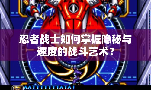 忍者戰(zhàn)士如何掌握隱秘與速度的戰(zhàn)斗藝術？