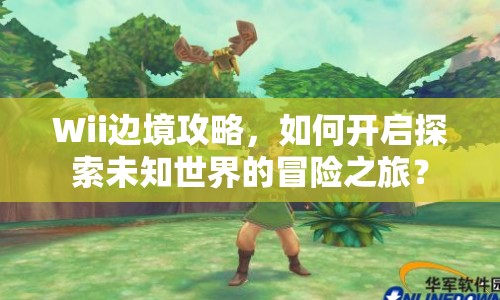 Wii邊境攻略，如何開啟探索未知世界的冒險(xiǎn)之旅？