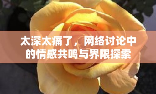 太深太痛了，網(wǎng)絡(luò)討論中的情感共鳴與界限探索