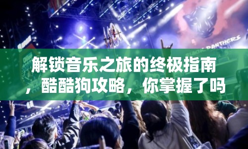 解鎖音樂之旅的終極指南，酷酷狗攻略，你掌握了嗎？