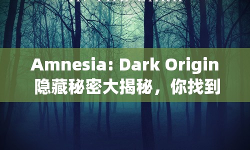 Amnesia: Dark Origin 隱藏秘密大揭秘，你找到了多少？
