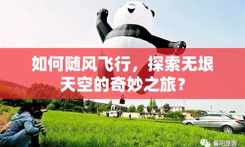 如何隨風飛行，探索無垠天空的奇妙之旅？
