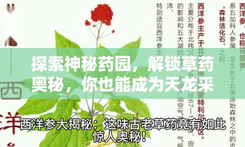 探索神秘藥園，解鎖草藥奧秘，你也能成為天龍采藥高手？