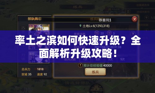 率土之濱如何快速升級(jí)？全面解析升級(jí)攻略！