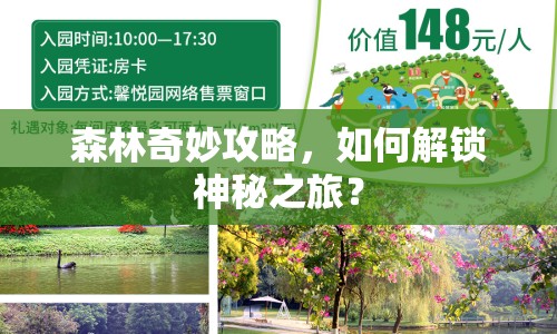 森林奇妙攻略，如何解鎖神秘之旅？