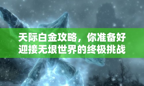 天際白金攻略，你準(zhǔn)備好迎接無垠世界的終極挑戰(zhàn)了嗎？