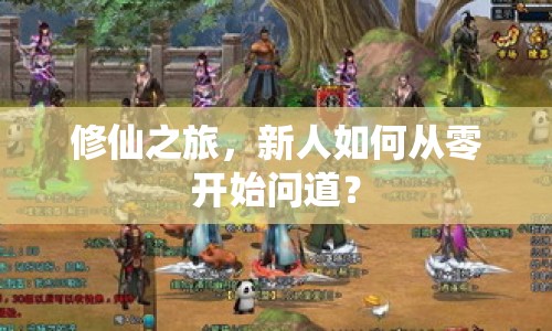 修仙之旅，新人如何從零開(kāi)始問(wèn)道？