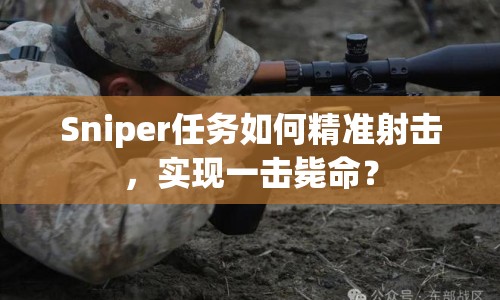 Sniper任務(wù)如何精準射擊，實現(xiàn)一擊斃命？