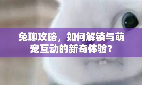 兔聊攻略，如何解鎖與萌寵互動的新奇體驗？